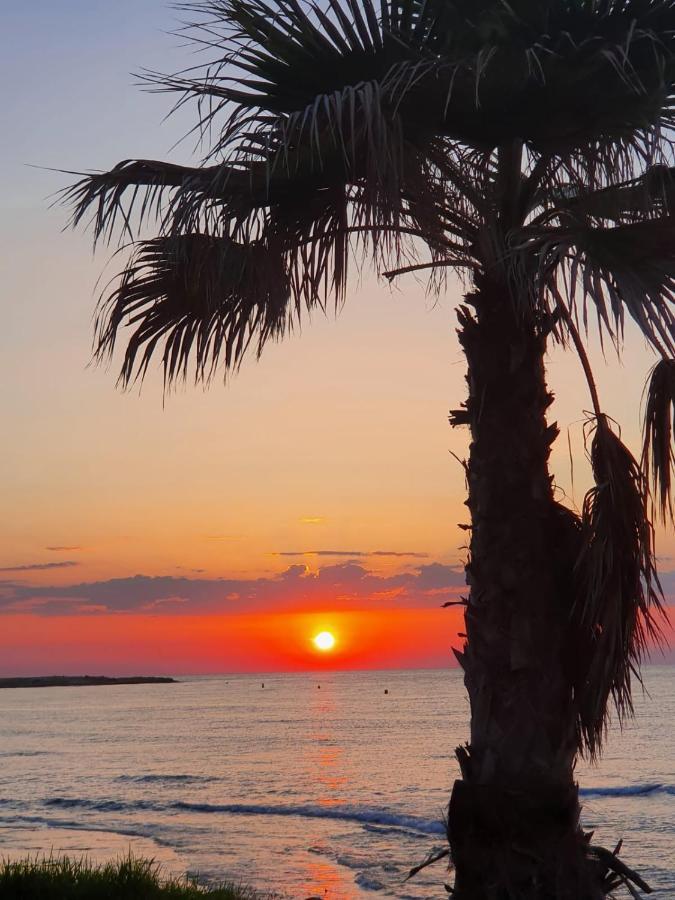 Gemuetliche Ferienwohnung In Torrevieja Ca100M Vom Strand Playa Del Cura Entfernt Dış mekan fotoğraf