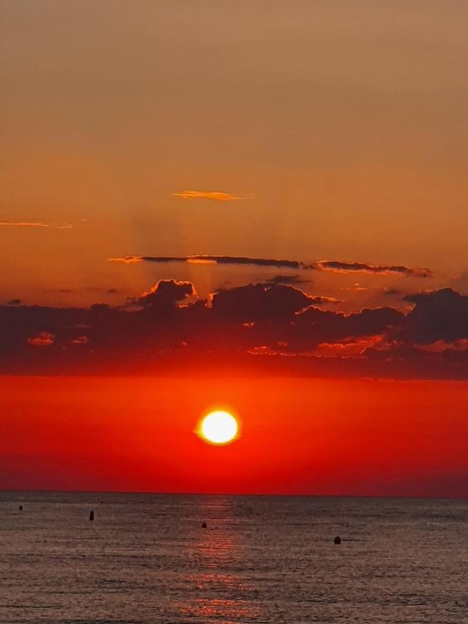Gemuetliche Ferienwohnung In Torrevieja Ca100M Vom Strand Playa Del Cura Entfernt Dış mekan fotoğraf